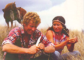 Wild Horses still
